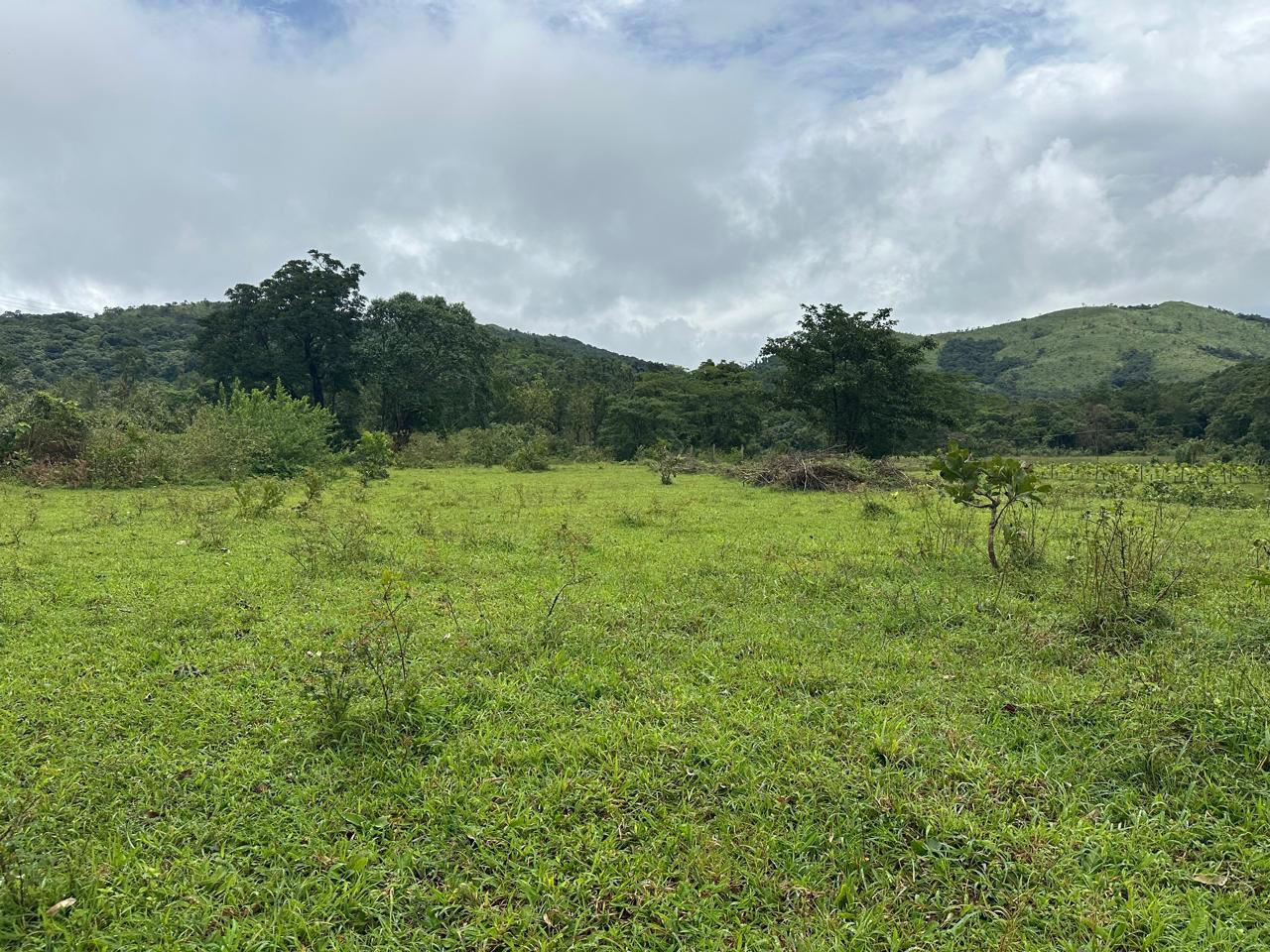 5 Acre Farm Land with Hill View & Stream – Mudigere